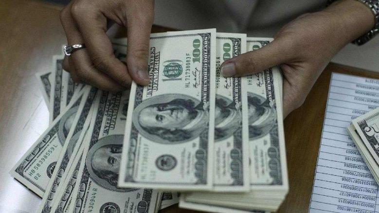 سعر الدولار اليوم في البنك المركزي والبنوك المصرية يواصل الاستقرار
