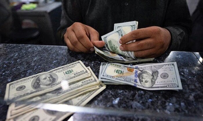 استقرار سعر الدولار أمام الجنيه في تعاملات السبت 16 أغسطس 2025