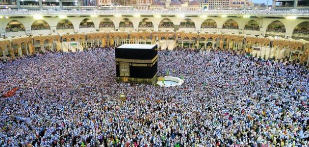 أعلنت هيئة التضامن في دمياط أسماء الفائزين في قرعة الحج لعام 2025