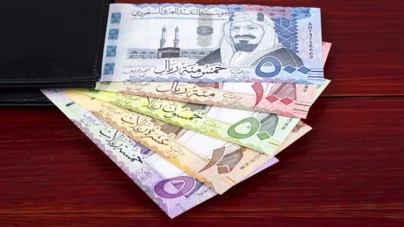 سعر الدولار والريال السعودي مقابل الجنيه المصري