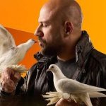 موعد عرض الحلقة السادسة من مسلسل "الغاوي"