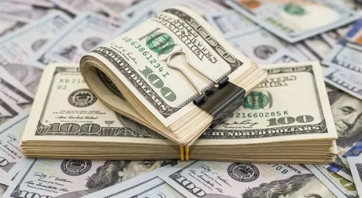 شهد سعر الدولار في مصر استقرارًا ملحوظًا اليوم