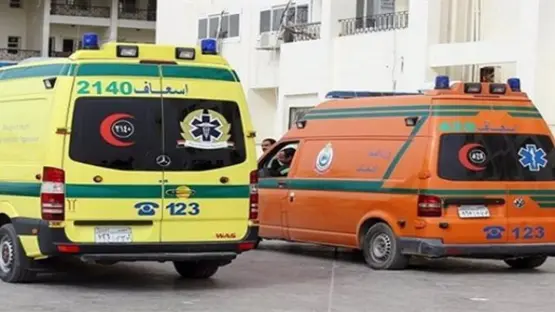 وقع حادث مروع على طريق أسوان