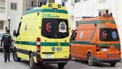 مصرع شخصين في حادث تصادم بسيارة ربع نقل بعمود كهرباء بكفر الشيخ