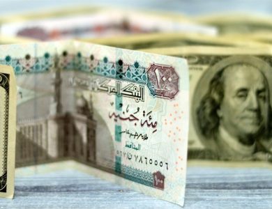 استقرار سعر الدولار في البنوك المصرية 