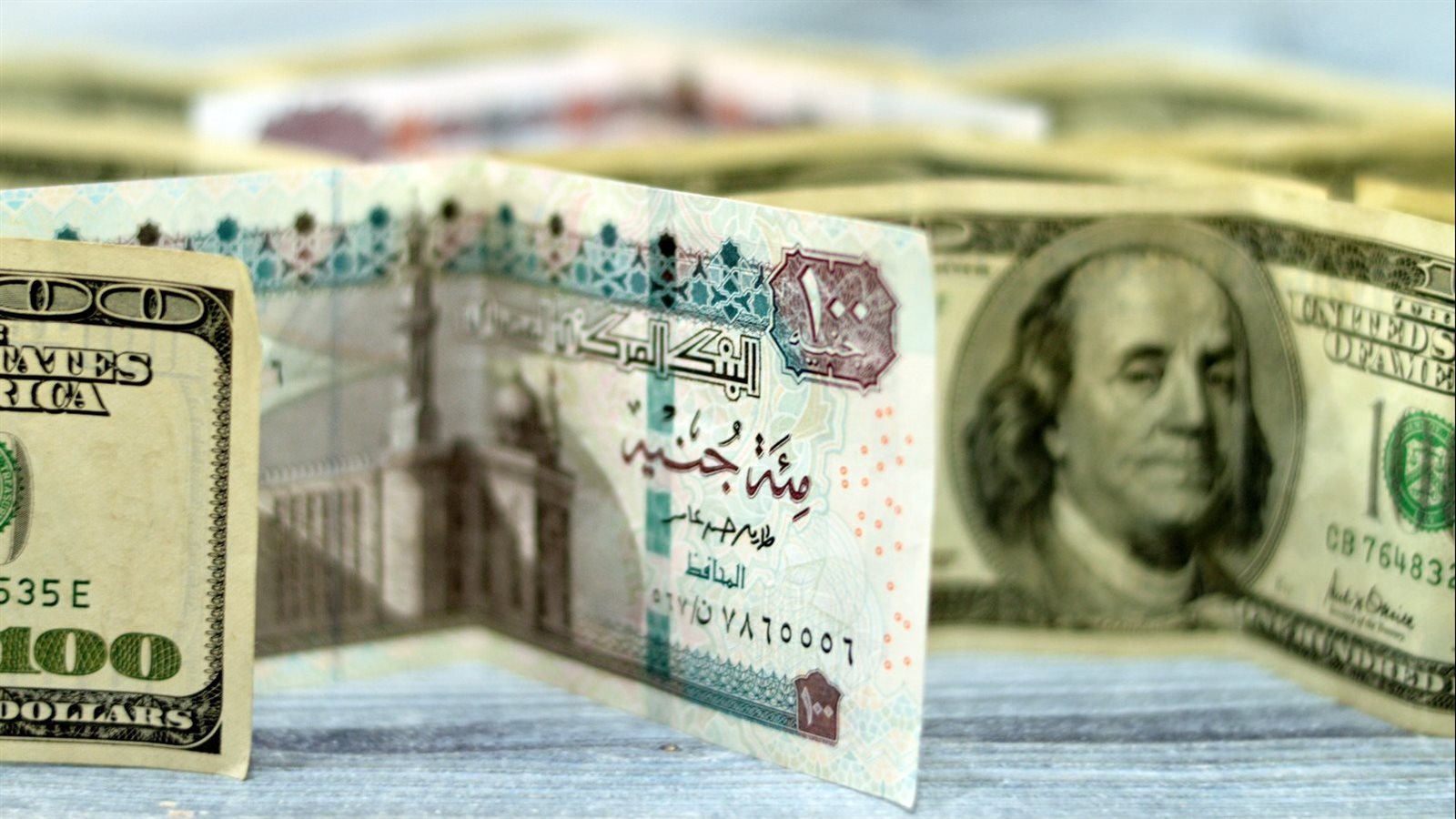 استقرار سعر الدولار في البنوك المصرية 