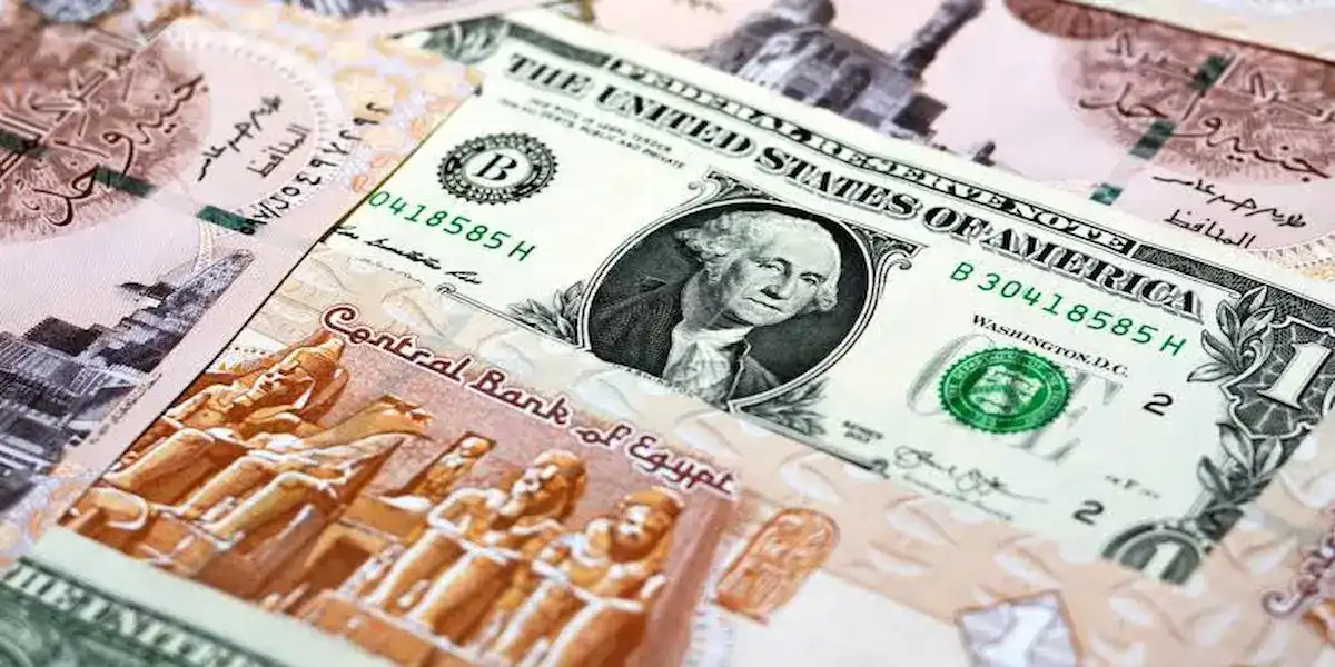 سعر الدولار مقابل الجنيه المصري اليوم