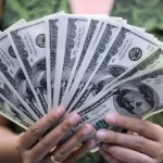 استقرار سعر الدولار في البنوك المصرية 
