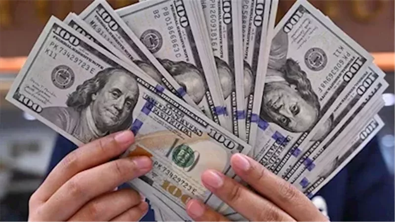 استقرار سعر الدولار أمام الجنيه في ختام تعاملات السبت 6 سبتمبر 2025