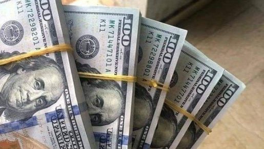استقرار سعر الدولار أمام الجنيه المصري في بداية التعاملات