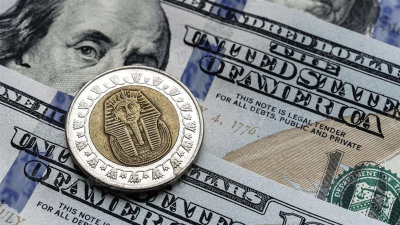 استقرار سعر الدولار أمام الجنيه المصري