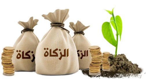 بيت الزكاة والصدقات يثمن جهود مصر في وقف الحرب على غزة