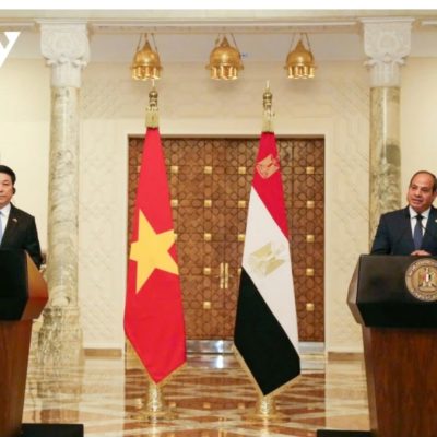 ترحيب الرئيس السيسي والرئيس الفيتنامي بالصحافة بعد المحادثات في القاهرة